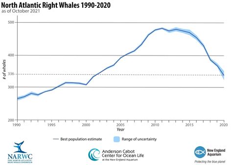 north atlantic right whale population graph